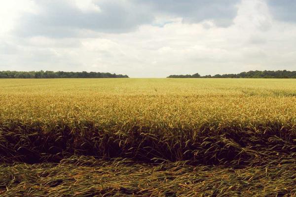 打印機(jī)驅(qū)動(dòng)更新